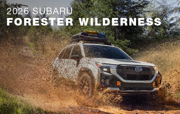 2026 Subaru Forester Wilderness | Marin Subaru in San Rafael CA