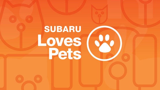 Marin Subaru in San Rafael CA