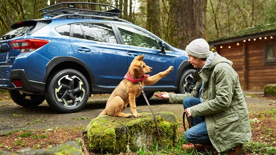 Marin Subaru in San Rafael CA