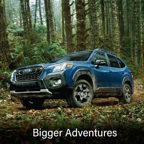 A blue Subaru outback wilderness with the words &ldquo;Bigger Adventures&ldquo;. | Marin Subaru in San Rafael CA