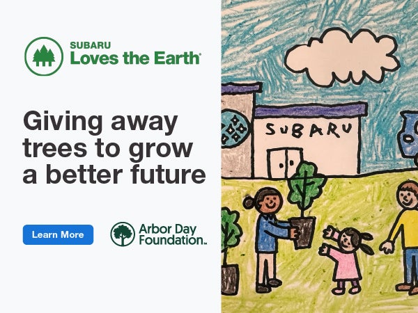 Subaru Loves the Earth. Children's drawing of trees being pl
