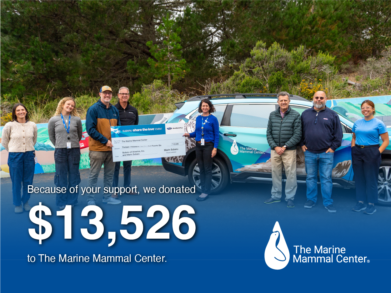 The Marine Mammal Center