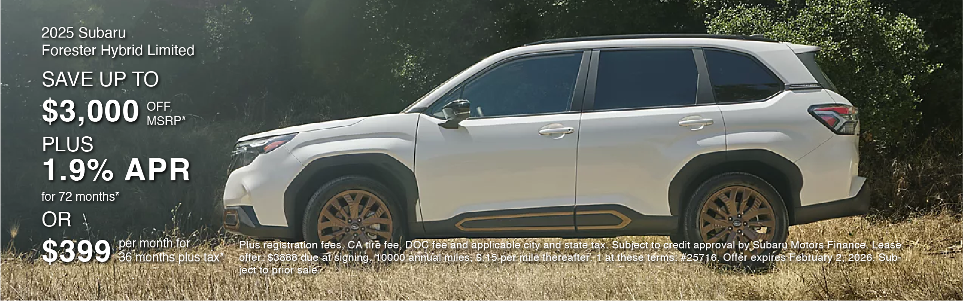 Forester hybrid Jan 26