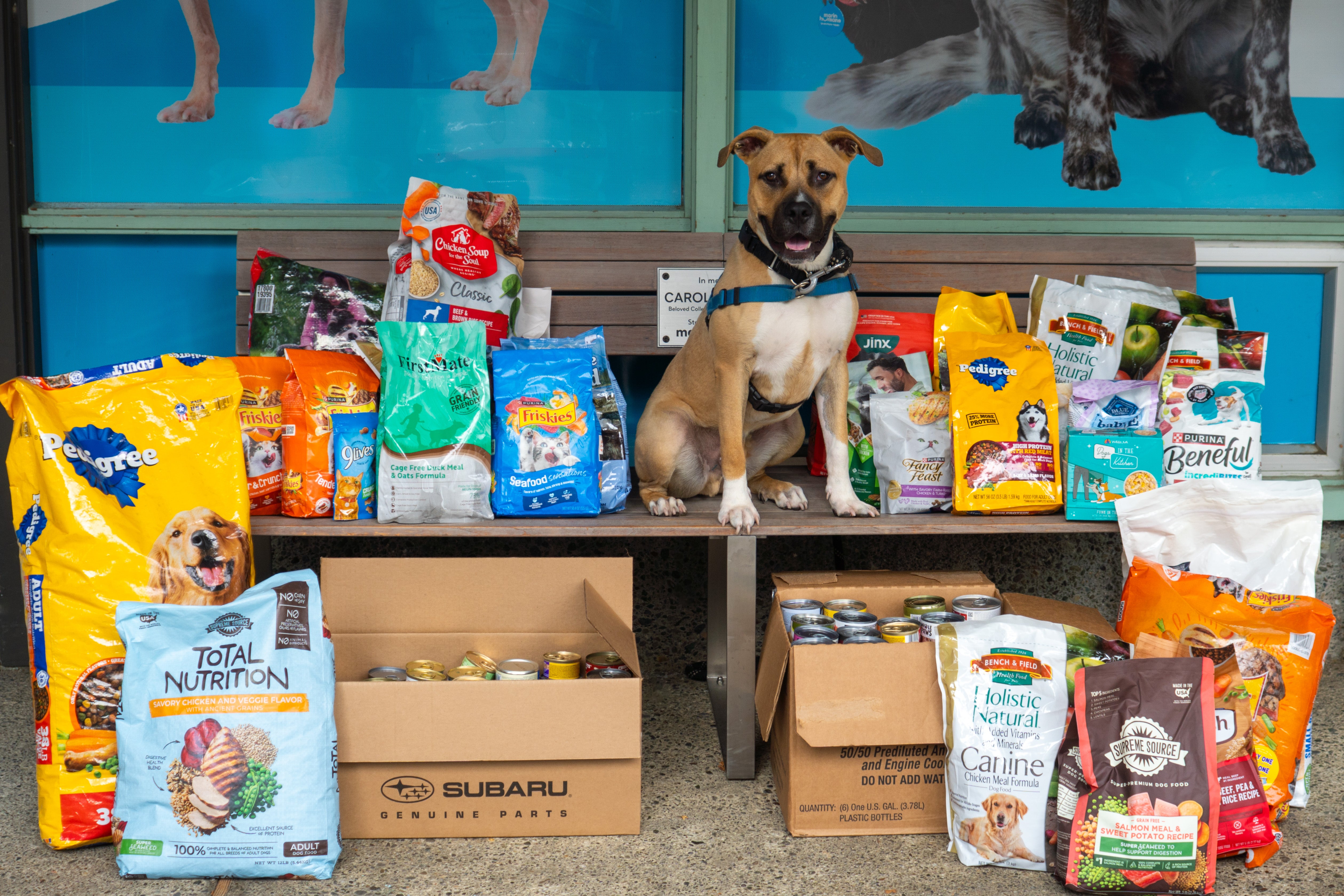 Marin Humane Donation