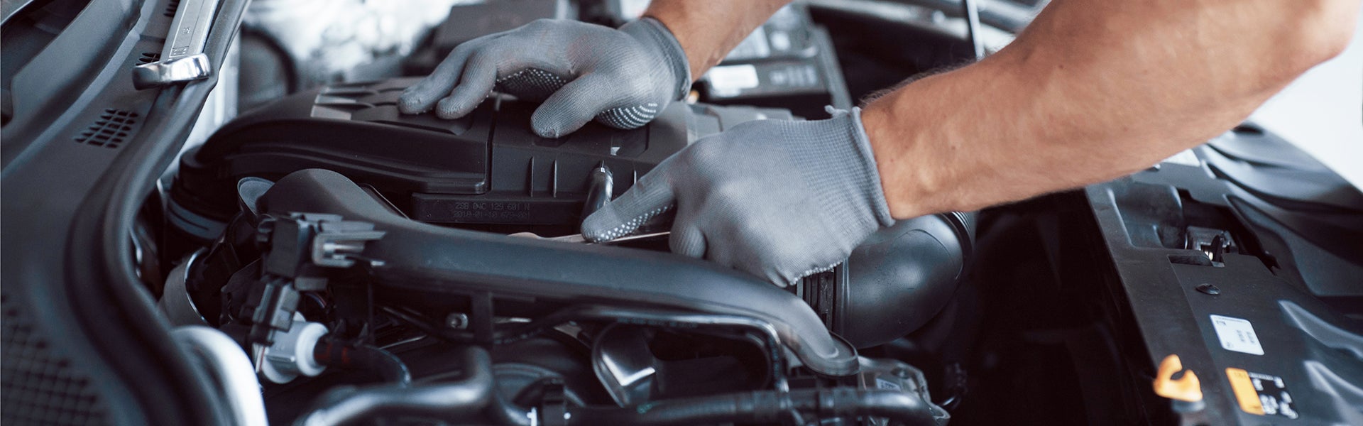 Marin Subaru in San Rafael CA